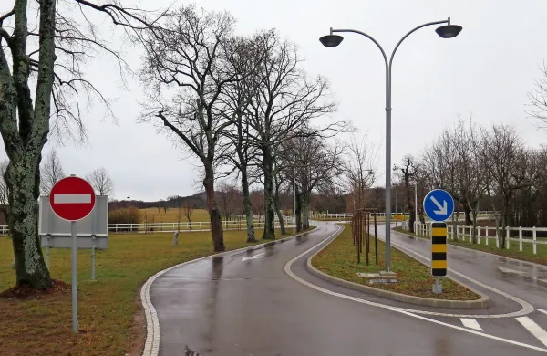 Sežanski občinski svetniki se še niso sprijaznili, da mora biti  
cesta iz Sežane do   lipiškega posestva enosmerna, kar so 
zahteve zavoda za varstvo kulturne dediščine, saj  je preozka 
in pelje skozi zaščiten drevored. 