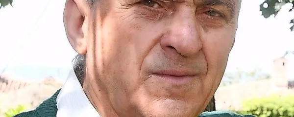 Milan Gregorič