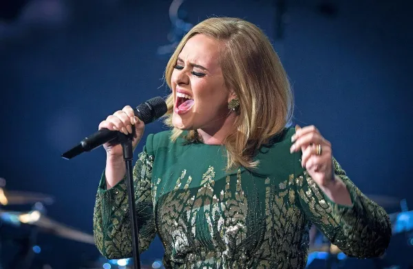 Britanska pevka Adele je med koncertom v avstralskem 
mestu Brisbane potrdila, da se je poročila s svojim dolgoletnim partnerjem Simonom Koneckim