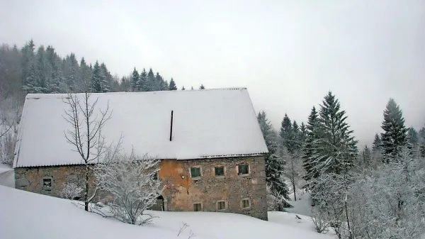 Zimska idila ob poti na Lašček.