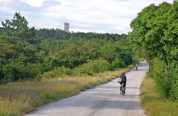 V občini se zavedajo, da bo za prepoznavnost  treba povezati 
vso turistično   ponudbo, od Poti miru  do gostinske ponudbe.   