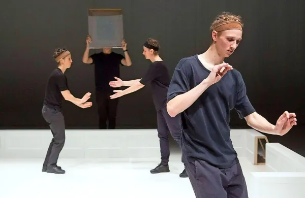 Nagrado strokovne komisije je prejela predstava  Staging a 
Play: steklena menažerija v režiji Matije Ferlina. 