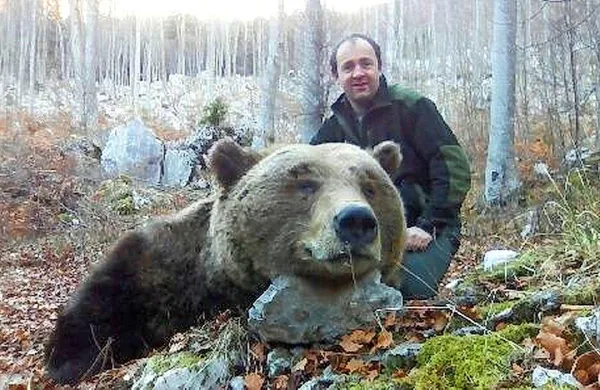 Medved, ki bi lahko bil Branko,  je  umrl takoj in ni trpel.