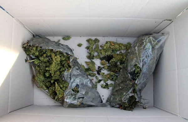 V stopljenem odbijaču je ostalo 1,25 kilograma trave.