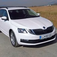 Octavia predstavlja slabo polovico vseh prodanih škod pri 
nas.