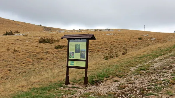 Maraton bo ponujal tri trase.