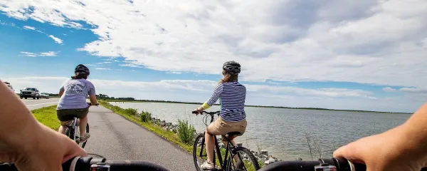 Spomladansko prebujenje