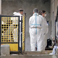 Družinska tragedija na Krasu: mo&scaron;ki ubil nono in brata