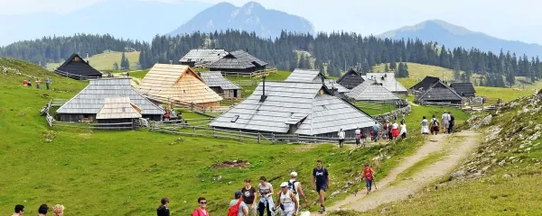 Gibanje povečuje vnos kisika ter pospeši in okrepi 
intenzivnost vseh procesov v telesu, tudi negativnih.

 