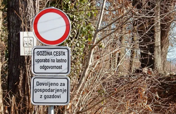 Prometni znaki, ki prepovedujejo vožnjo po gozdovih, niso le 
lepotni okras, temveč v prvi vrsti poskušajo zaščititi gozdne 
živali.