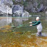 Ujeli rekordno &scaron;arenko
