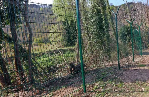 Panelnih ograj je na južni meji nekaj manj kot 37 kilometrov. 