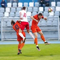 Brici spomladi ne najdejo poti do gola
