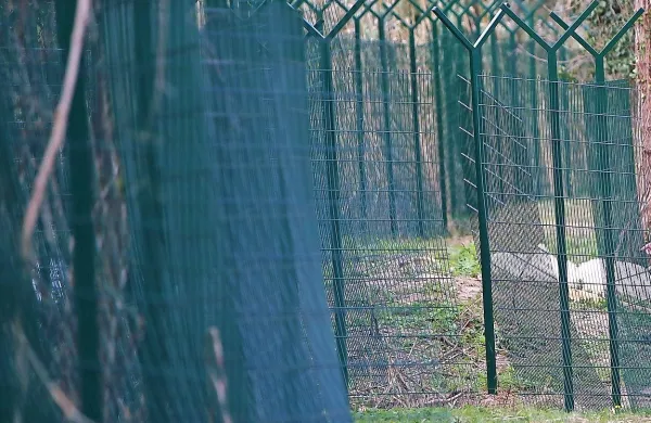  Višina odškodnine  bo odvisna od vrste zemljišča, na katerem 
stoji ograja na meji.