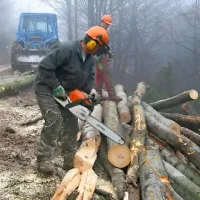 Odpravljanje posledic žledoloma septembra 2014 na Tolminskem je bilo usodno za 38-letnega domačina.