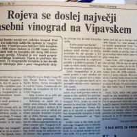 V bližini Branika je nastajal dotlej največji zasebni vinograd na 
Vipavskem. Na osmih hektarjih velikem kompleksu so posadili 
5000 trt barbere in 12.000 trt kaberneta.  
