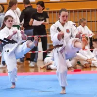 Tradicionalni karate: usklajenost gibov, čustev in duha