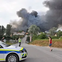 Nara&scaron;čaj v Kobilarni Lipica