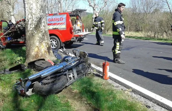 Drevesa seveda niso kriva za nesreče, zaradi njih pa so 
posledice nesreč bistveno hujše in pogosto tragične.