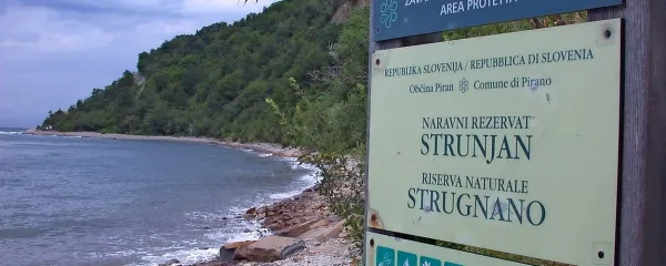 Na&scaron;ost in njihovost