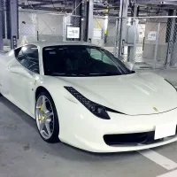 Iz garaže sredi Nove Gorice so neznanci včeraj poskušali 
odpeljati belega ferrarija 458 (fotografija je simbolična).