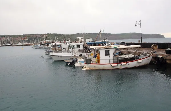 Ribiški privezi v Izoli so po mnenju ribičev predragi.