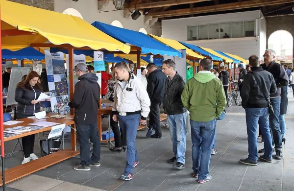 Za eno službo v Luki kar 600 prijav