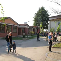 Sadijo drevesa za čebele