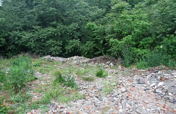 Koprski kriminalisti so junija lani pod kupom navoženega 
gradbenega materiala našli razpadajoče žensko truplo. 