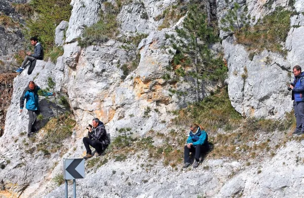 Dirkač Turk praznoval drugi rojstni dan