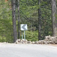 Dirkač Turk praznoval drugi rojstni dan
