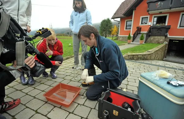 S pomočjo detekcije njene okoljske DNK  lahko človeško 
ribico “forenzično” zaznajo v podzemeljski vodi, ne da bi jim 
jo bilo treba videti. Na fotografiji vodja raziskave Gregor 
Aljančič opazuje človeško ribico.