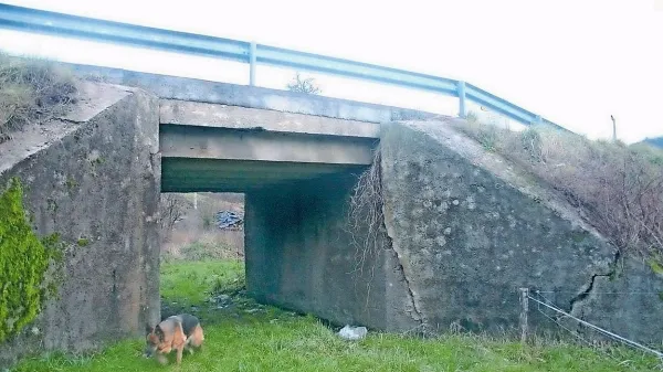 Most v Zalčih je razpokan in pod težo tovornjakov popušča. 
