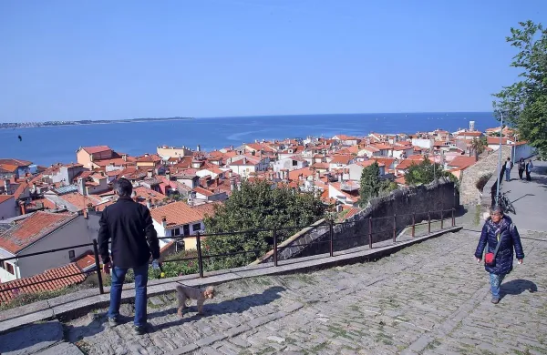 Fotografija je simbolična.