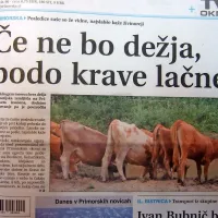 Pred desetimi leti v tem času je Primorski grozila huda suša. 