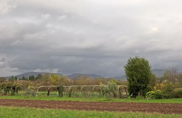“Sporočilo je jasno: Evropejce skrbi za živali, hrano in naravo 
in ne želijo, da se njihova hrana proizvaja na škodo narave,” 
poudarja strokovnjak na področju kmetijstva in trajnostne 
prehranske sisteme v uradu WWF za evropske zadeve Jabier 
Ruiz. 
