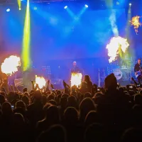 Siddharta s prijatelji Do konca vabili poletje