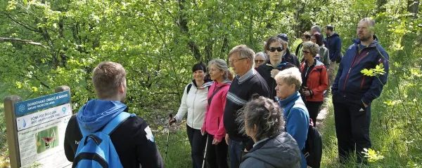 Udeležence sprehoda je pot vodila po regijskem parku 
Škocjanske jame; na njegovem območju so našli že 20 vrst 
orhidej. 