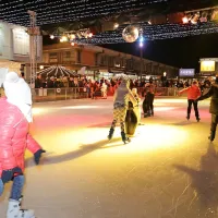 Na Internautici tudi starodobna plovila in avtomobili