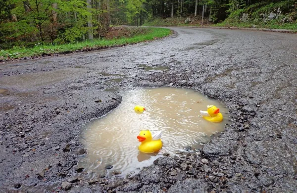 Udarna jama bi bila dovolj velika tudi za prave in ne le 
plastične račke.