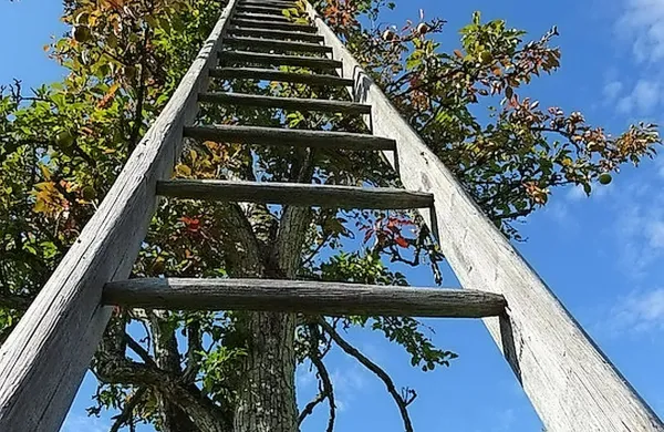 Fotografija je simbolična.