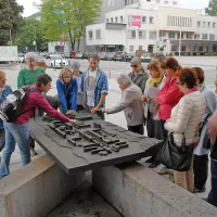 Mesto polno zelenja, a brez parka