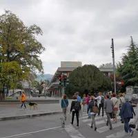 Mesto polno zelenja, a brez parka