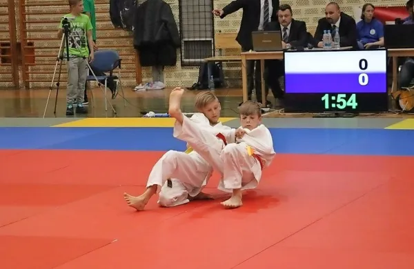 Odličja judoistov