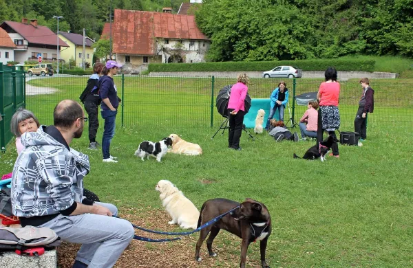 Psi najprej pred objektiv, potem pa v &scaron;olo