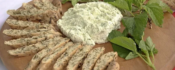 Ovčja skuta z zelišči