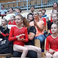 Zlato Bertonclju na konju z ročaji, bron Belakovi v preskoku (foto)