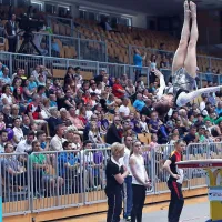 Zlato Bertonclju na konju z ročaji, bron Belakovi v preskoku (foto)