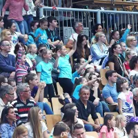 Zlato Bertonclju na konju z ročaji, bron Belakovi v preskoku (foto)