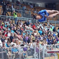 Zlato Bertonclju na konju z ročaji, bron Belakovi v preskoku (foto)